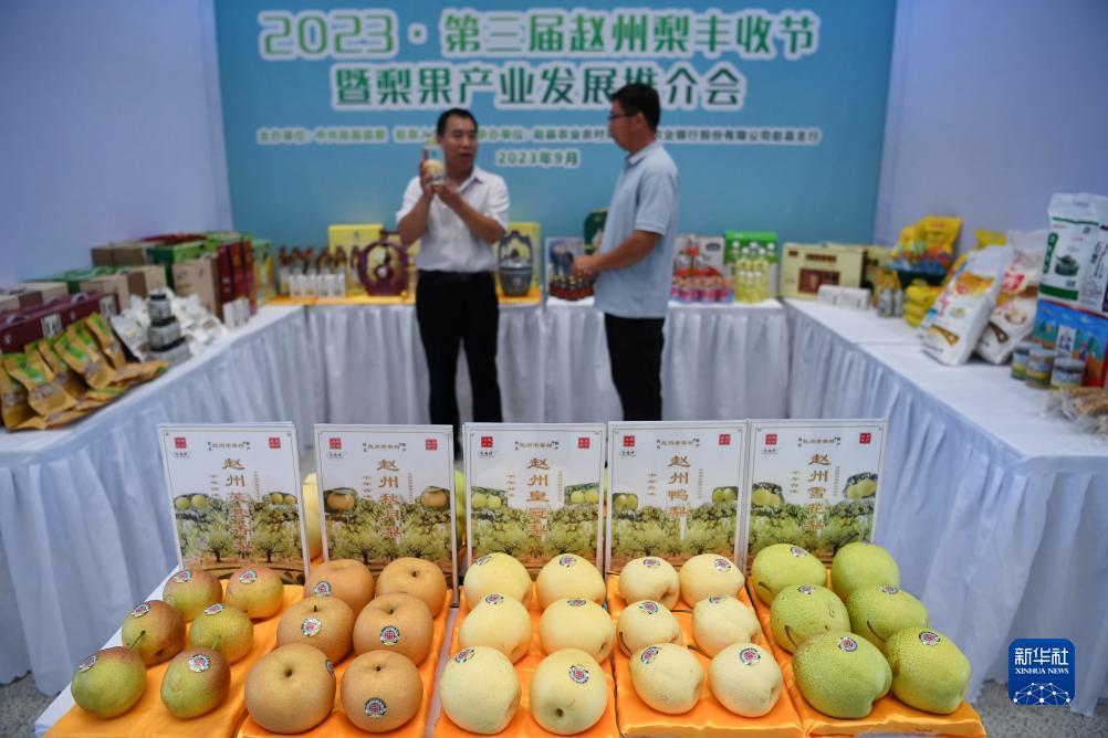 威尼斯送彩金